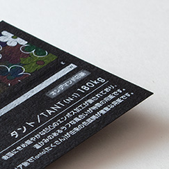 タント/TANT(N-1)